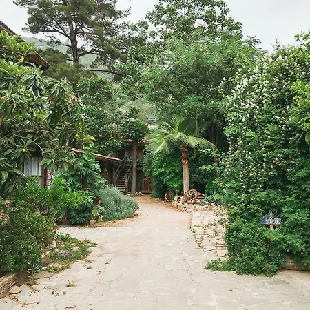 Kadir's Tree Hostel *