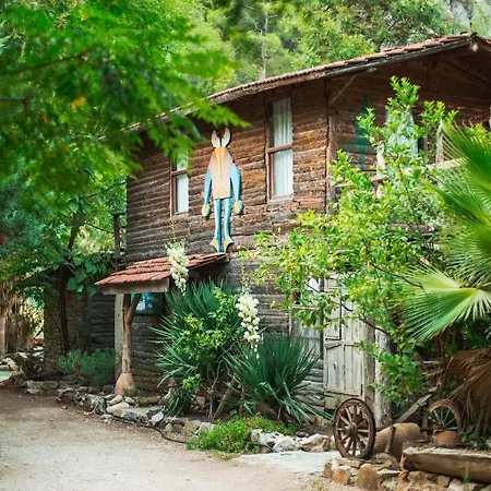 Kadir's Tree Hostel *