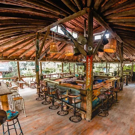 Hostel Kadir's Tree Kemer